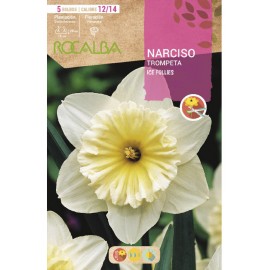 S.BOLBO SAQUETA ROCALBA NARCISO TROMPETA BARRET BROWNING   BRANCO CENTRO LARANJA-EBNT5710