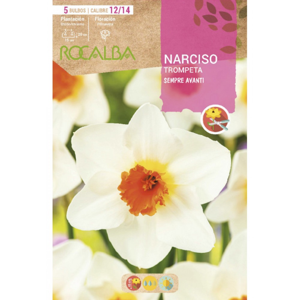 S.BOLBO SAQUETA ROCALBA NARCISO SEMPRE AVANTI -BRANCO TROMPETA LARANJA-EBNT5675