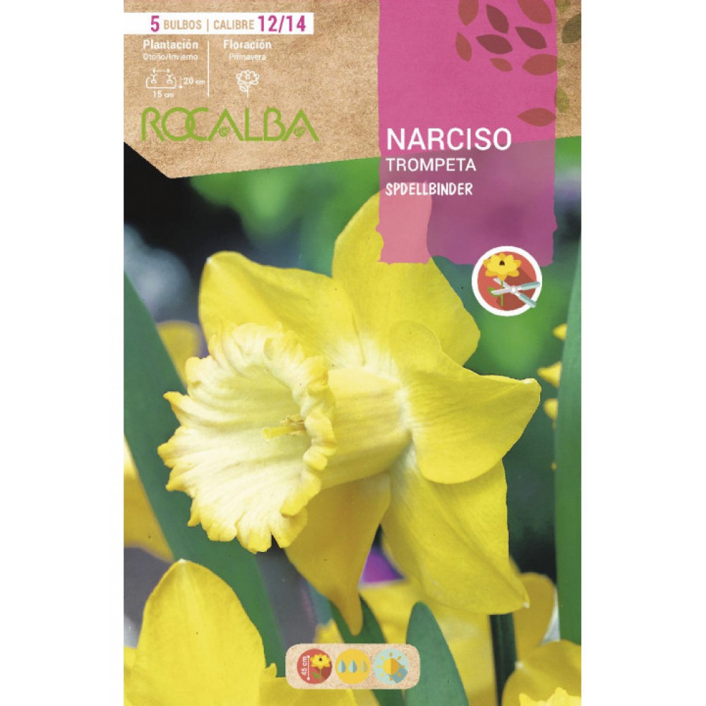 S.BOLBO SAQUETA ROCALBA NARCISO <br>TROMPETA <br>SPELLBINDER -AMARELO CREME-EBNT5690