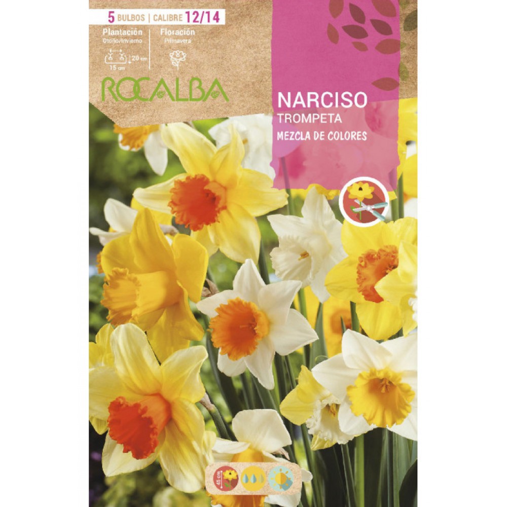 S.BOLBO SAQUETA ROCALBA NARCISO TROMPETA -MISTURA DE CORES-EBNT5715