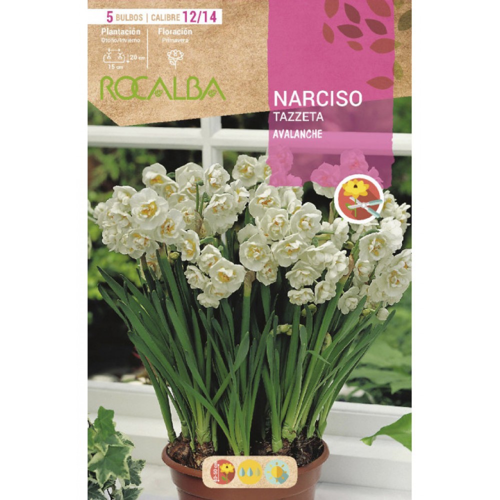 S.BOLBO SAQUETA NARCISOS TAZZETA AVALANCHE -BRANCO CENTRO AMARELO-EBNZ5750