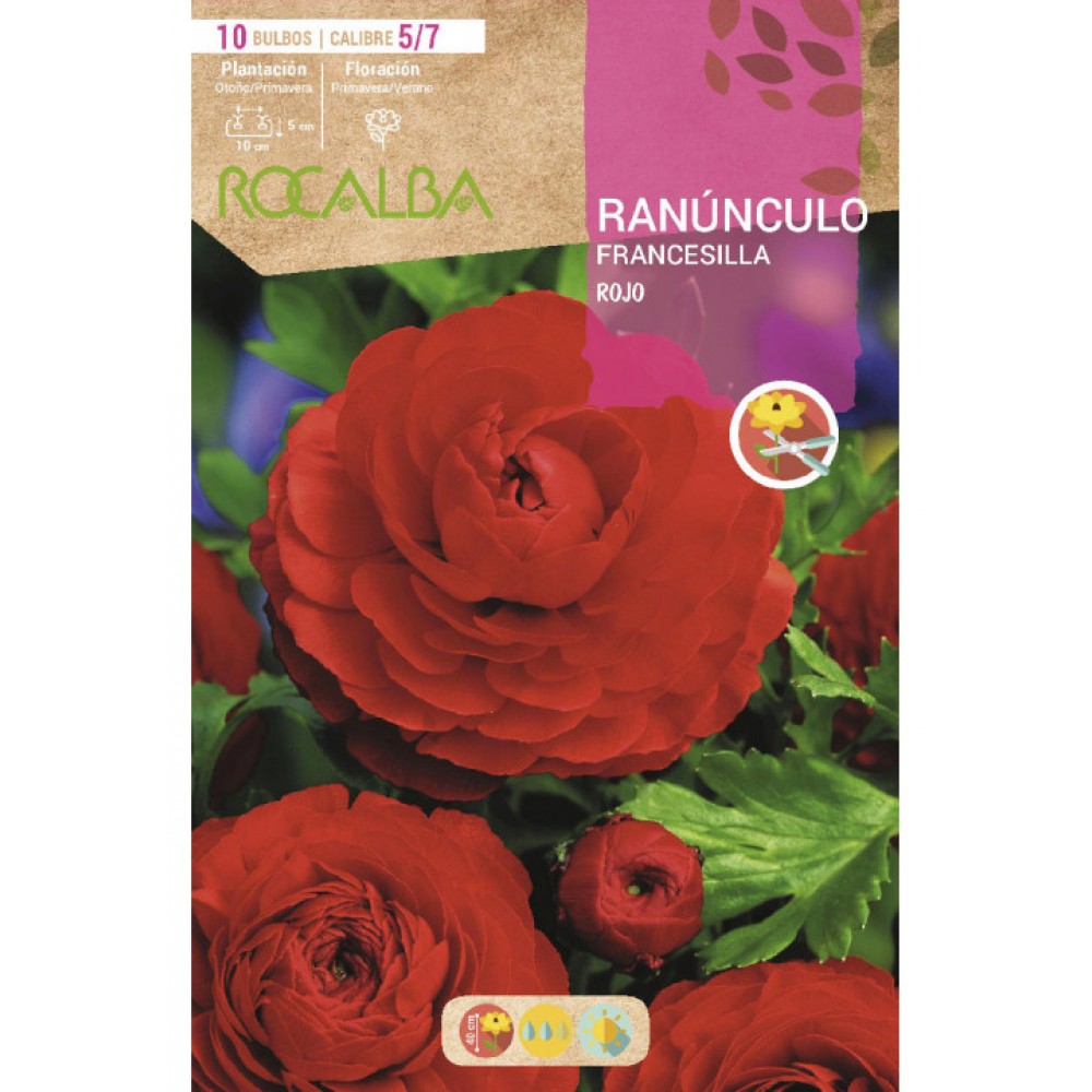 S.BOLBO SAQUETA RANUNCULO FRANCESILLA VERMELHO -EBRF6125