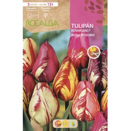 S.BOLBO SAQUETA TULIPA REMBRANDT MISTURA CORES  -EBTB5420