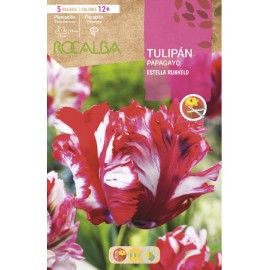 S.BOLBO SAQUETA TULIPA PAPAGAIO ESTELLA RIJNVELD -EBTG5355