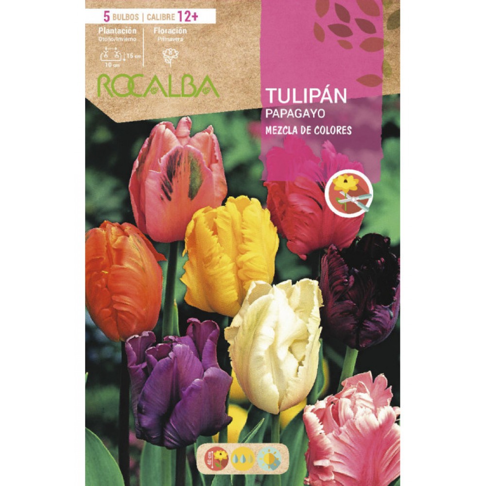 S.BOLBO SAQUETA TULIPA PAPAGAIO MISTURA CORES  -EBTG5380