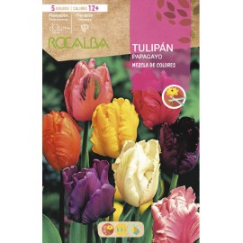 S.BOLBO SAQUETA TULIPA PAPAGAIO MISTURA CORES  -EBTG5380