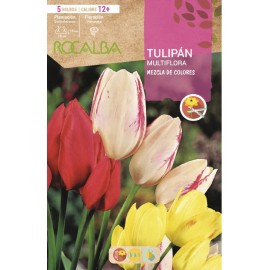 S.BOLBO SAQUETA TULIPA MULTIFLORA MISTURA CORES   -EBTM5325