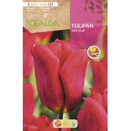 S.BOLBO SAQUETA TULIPA ROSA VAN EIJK -EBTN5005