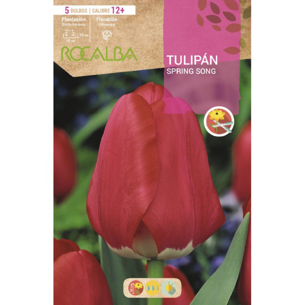 S.BOLBO SAQUETA TULIPA SPRING SONG -EBTN5010