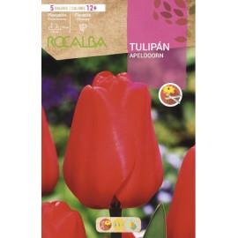 S.BOLBO SAQUETA TULIPA VERMELHA APELDOORN -EBTN5020