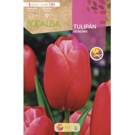 S.BOLBO SAQUETA TULIPA VERMELHA RENOWN -EBTN5050