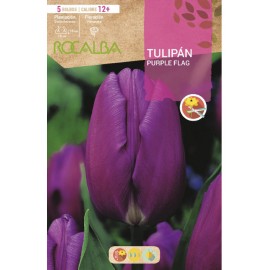 S.BOLBO SAQUETA TULIPA PURPURA PURPLE FLAG -EBTN5115