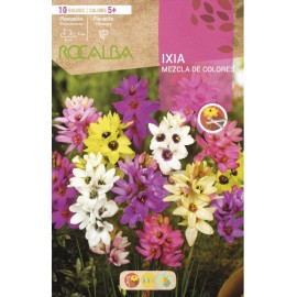 S.BOLBO SAQUETA IXIAS MISTURA CORES  -EBVV6605