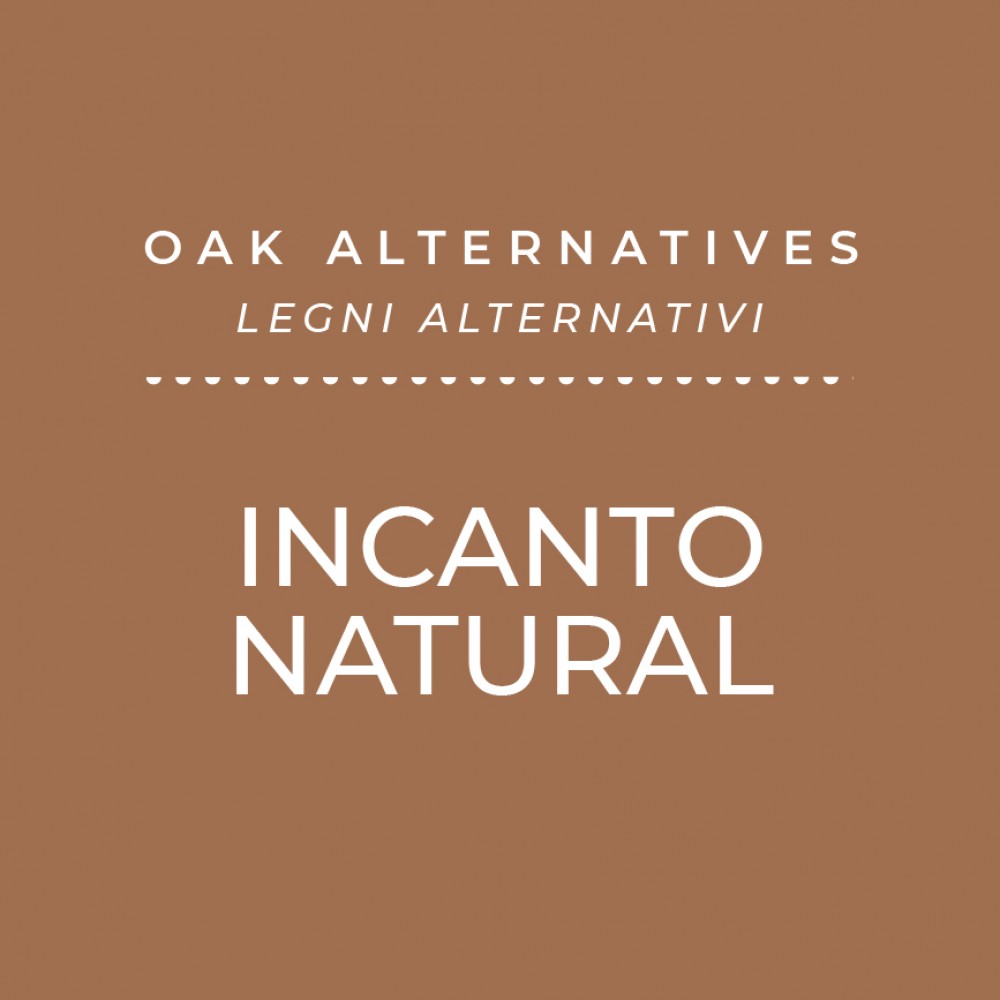 INCANTO ENARTIS CHIPS NATURAL - 10 KG