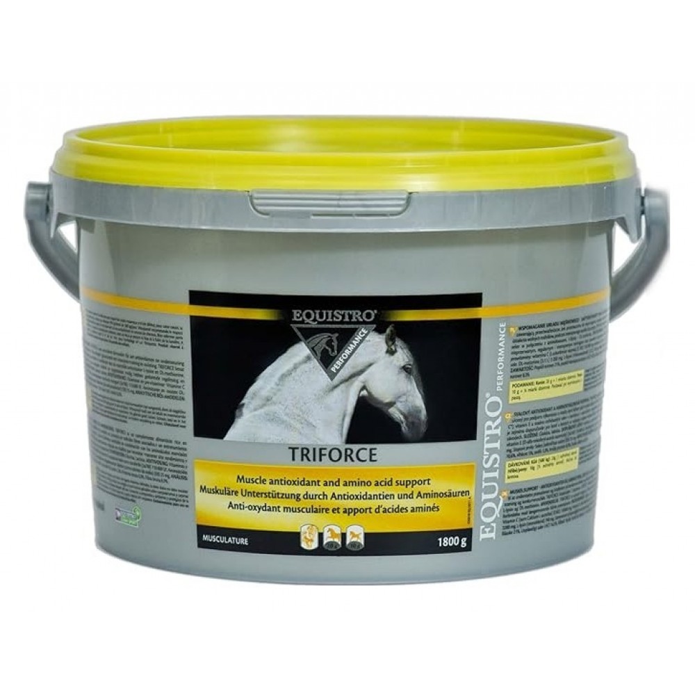 EQUISTRO TRIFORCE 1,8KG