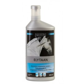 EQUISTRO ELYTAAN 1L