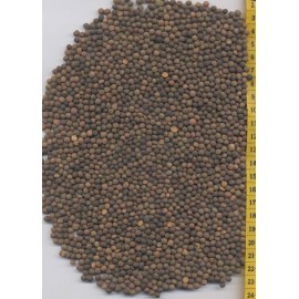 SEMENTE ERVILHACA FORRAGEIRA  - SC 25KG