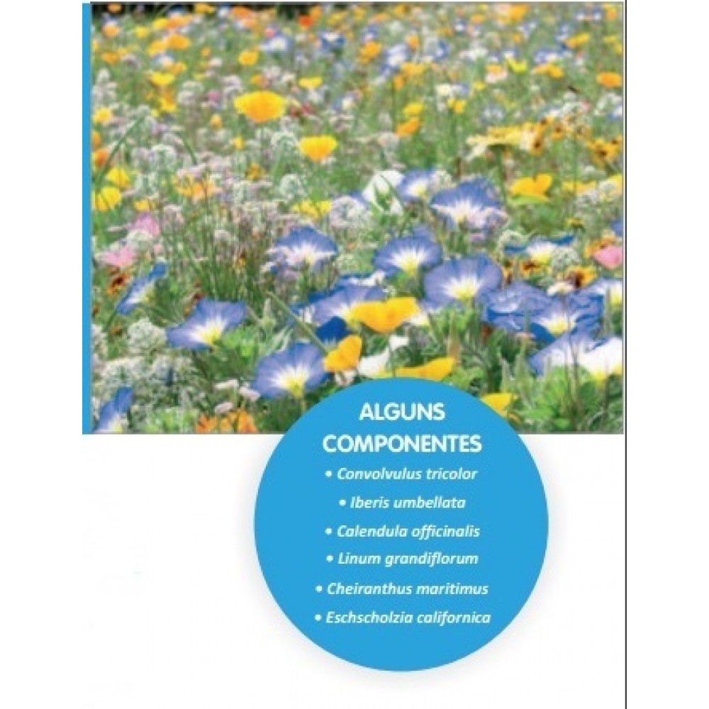 SEMENTE DE MISTURA FLORES FORMULA COBERTURA SOLO CONTRASTE - 1 KG