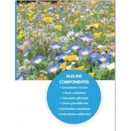 SEMENTE DE MISTURA FLORES FORMULA COBERTURA SOLO CONTRASTE - 1 KG