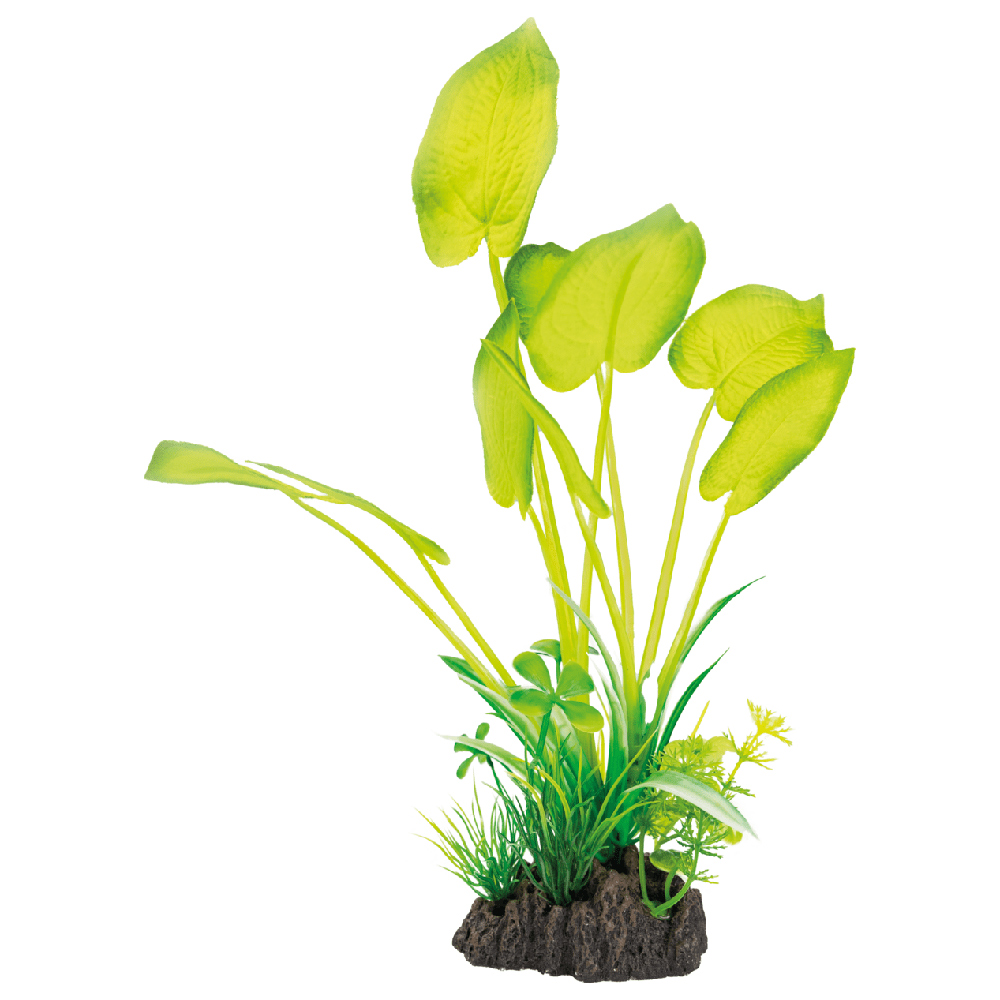 DECORAÇÃO PARA AQUÁRIO - PLANTAS ARTIFICIAIS PARA AQUÁRIO - ECHINODORUS