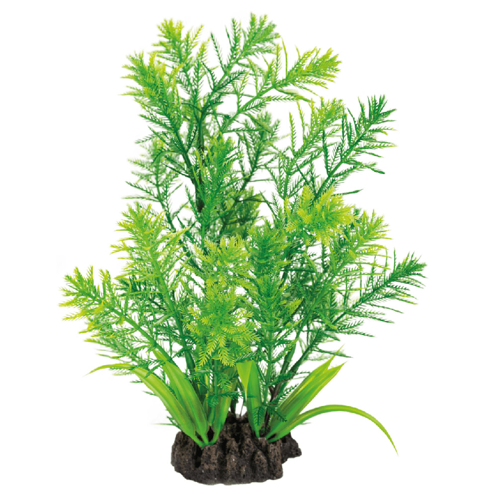 DECORAÇÃO PARA AQUÁRIO - PLANTAS ARTIFICIAIS PARA AQUÁRIO - HOTTONIA