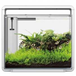 AQUÁRIO DESIGN HOME 45 (40L)