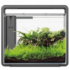AQUÁRIO DESIGN HOME 45 (40L)