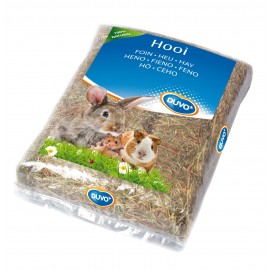 DUVO FENO PARA ROEDORES - 1KG