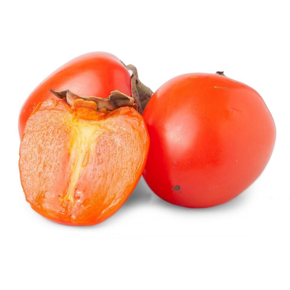S.ARVORE FRUTO -DIOSPIREIRO EM VASO BRILHANTE