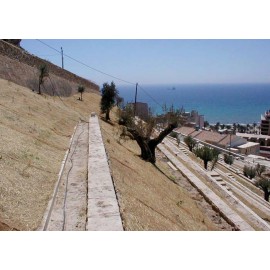 MANTA ORGANICA FIJAVER HC250 FENO/COCO 50% - 250GR/M2 - (2,4 X 50M) 120M2