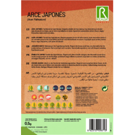 S.BORDO JAPONES ROCALBA