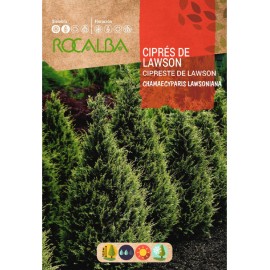 S.CIPRESTE DE LAWSON ROCALBA