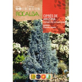 S.CIPRESTE ROCALBA DO ARIZONA