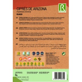 S.CIPRESTE ROCALBA DO ARIZONA
