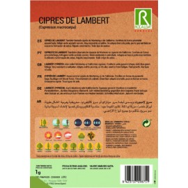 S.CIPRESTE ROCALBA DE LAMBERT