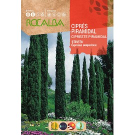 S.CIPRESTE ROCALBA PIRAMIDAL
