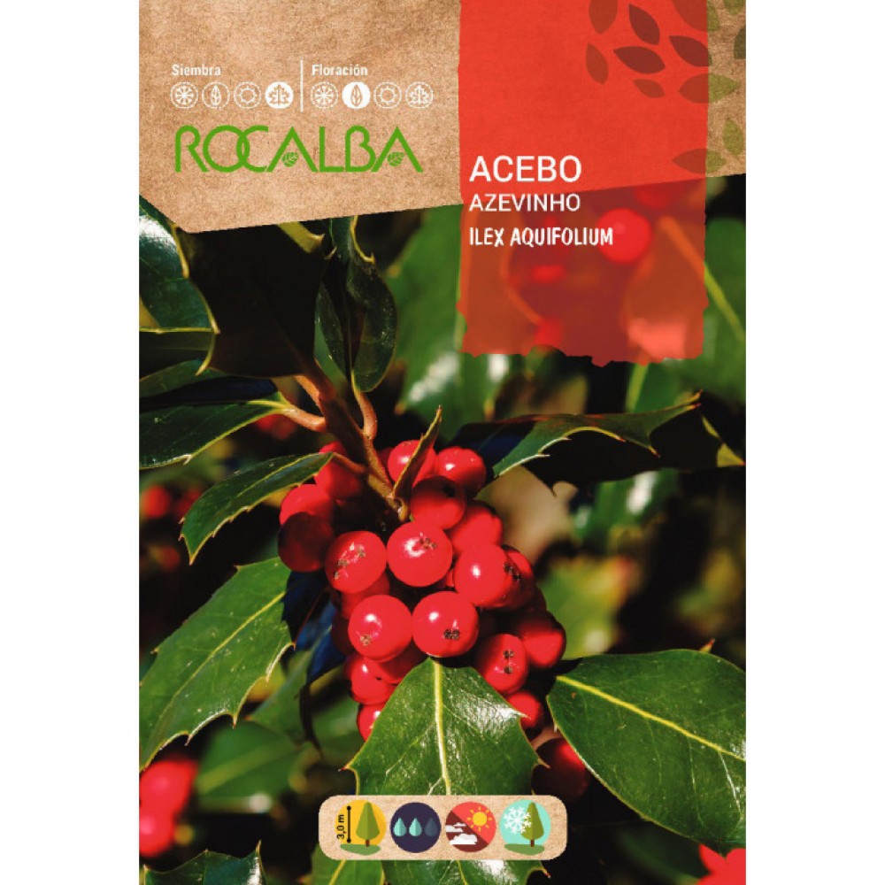 S.AZEVINHO ROCALBA