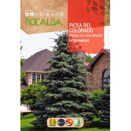 S.PICEA ROCALBA DO COLORADO