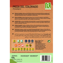 S.PICEA ROCALBA DO COLORADO