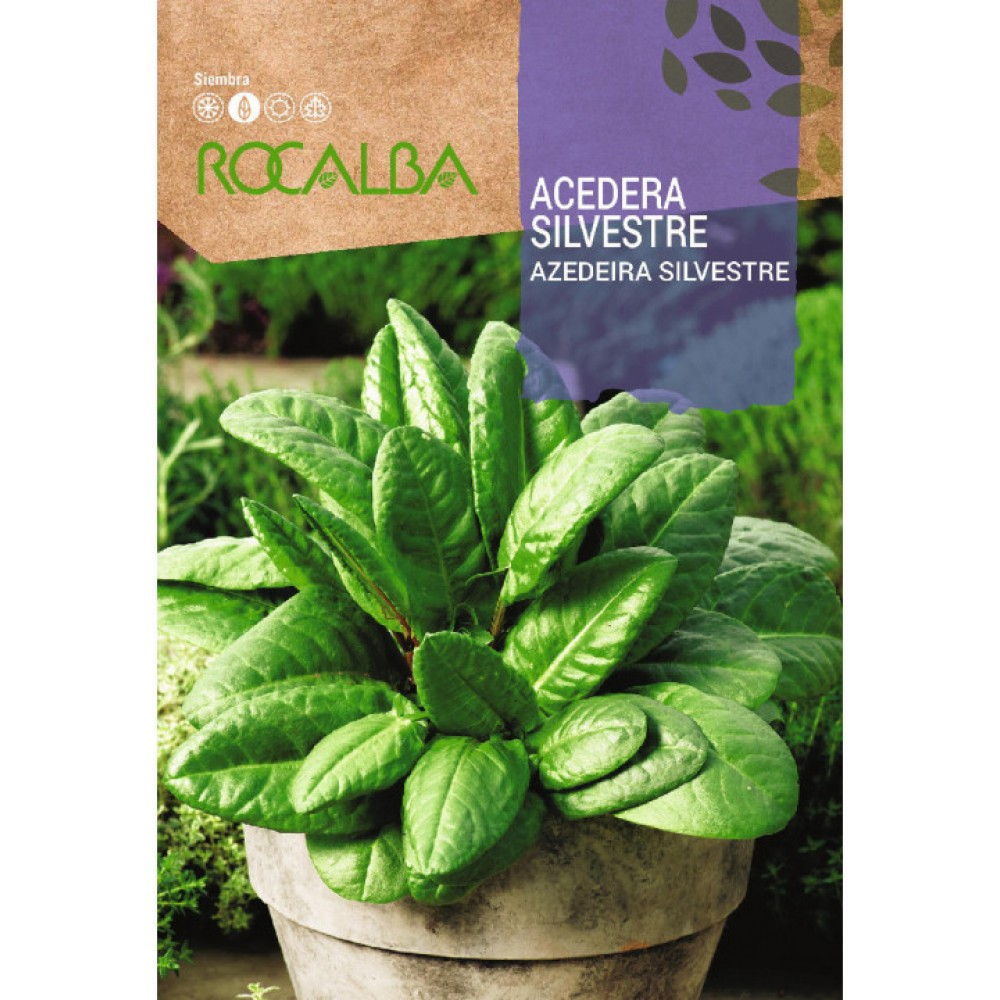 S.AZEDEIRA SILVESTRE ROCALBA AROMATICA