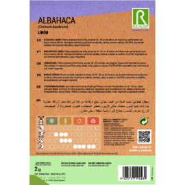 S.MANJERICÃO LIMÃO ROCALBA