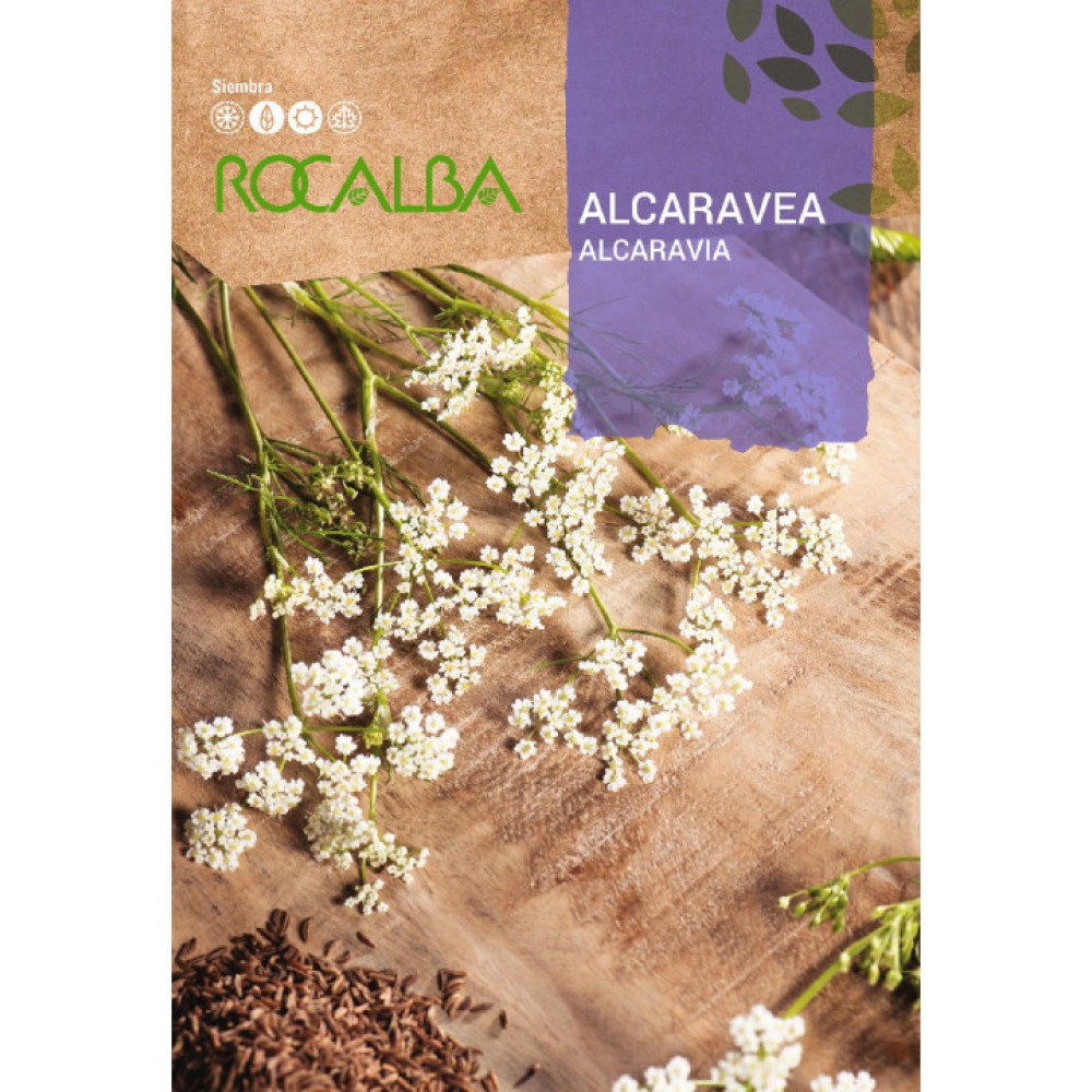 S.ALCARAVIA