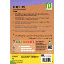 S.CEBOLINHO ROCALBA