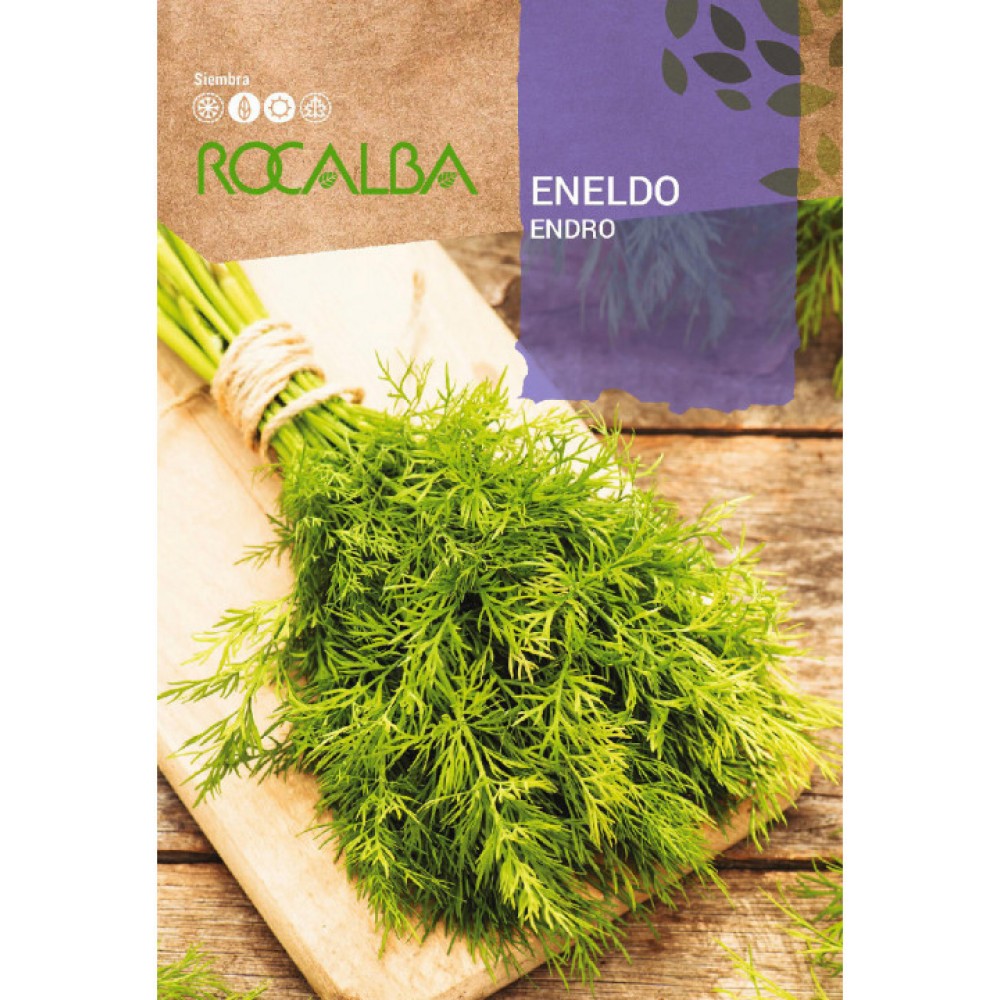 S.ENELDO ROCALBA