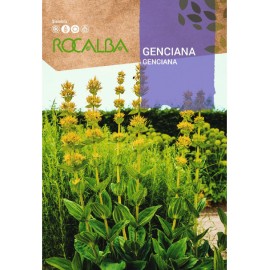 S.GENCIANA ROCALBA