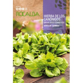 S.ERVA DOS CONEGOS ROCALBA AROMATICA