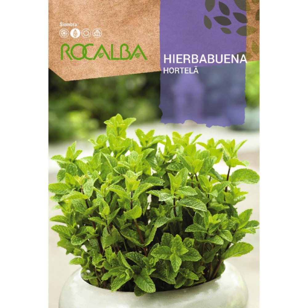 S.HORTELA ROCALBA