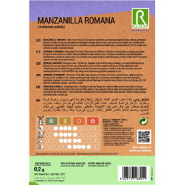 S.CAMOMILA ROCALBA ROMANA