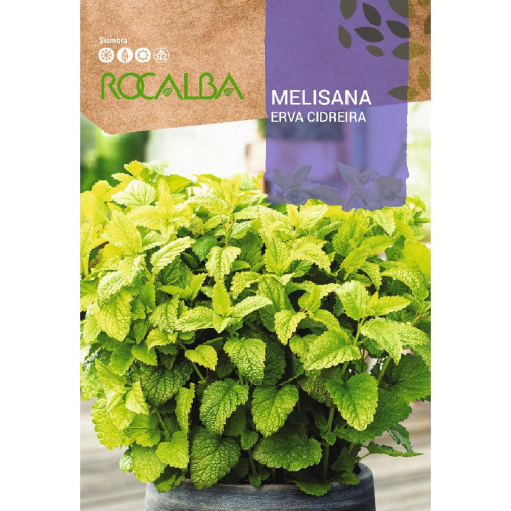 S.MELISANA ROCALBA ERVA CIDREIRA