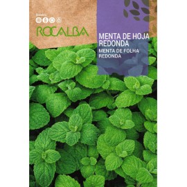 S.MENTA ROCALBA HORTELA FOLHA REDONDA